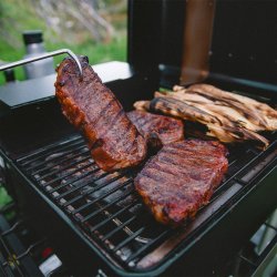 Traeger Ranger Trpillegrill