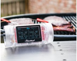 GrillEye Termometer
