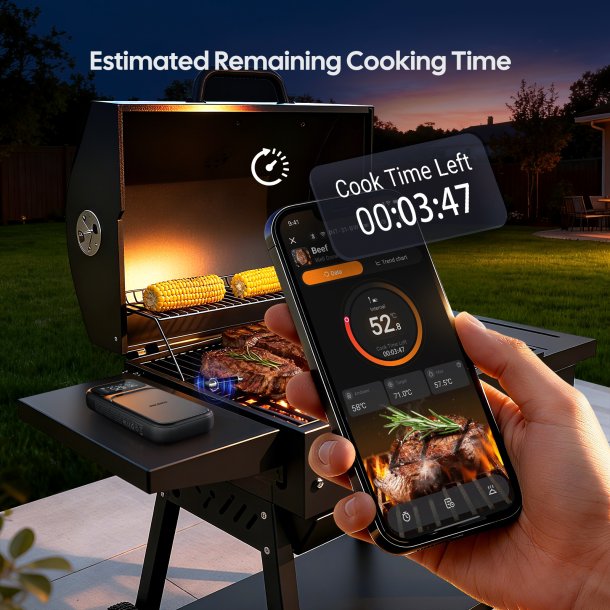 INKBIRD INT-31-BW � Det ultimative tr�dl�se stegetermometer med WiFi 5G &amp; Bluetooth 5.4