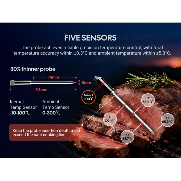 INKBIRD INT-31-BW � Det ultimative tr�dl�se stegetermometer med WiFi 5G &amp; Bluetooth 5.4