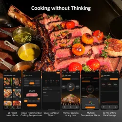 Bluetooth Stegetermometer INT-21-B  Perfekt til Pręcis Madlavning