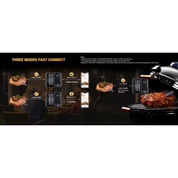 INKBIRD Trådløs BBQ Thermometer 4 Prober BT og WIFI