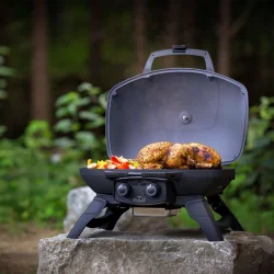 Napoleon TravelQ 285 Transportabel Gasgrill
