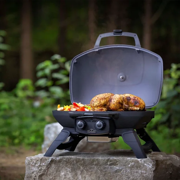 Napoleon TravelQ 285 Transportabel Gasgrill