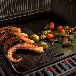 WEBER CRAFTED-stegeplade