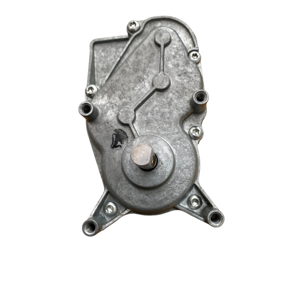 Auger Motor Weber Smokefire 20